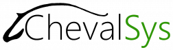 Chevalsys – Your Cyber Security Partner