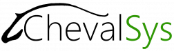 Chevalsys – Your Cyber Security Partner
